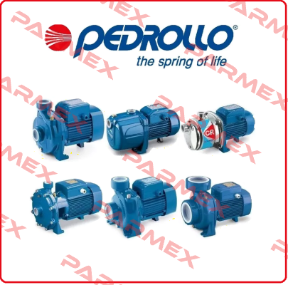PK80/ 0502 04  Pedrollo Water Pumps