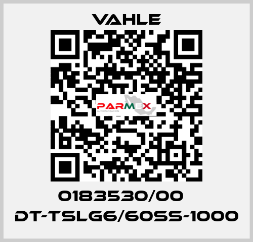 0183530/00    DT-TSLG6/60SS-1000  Vahle