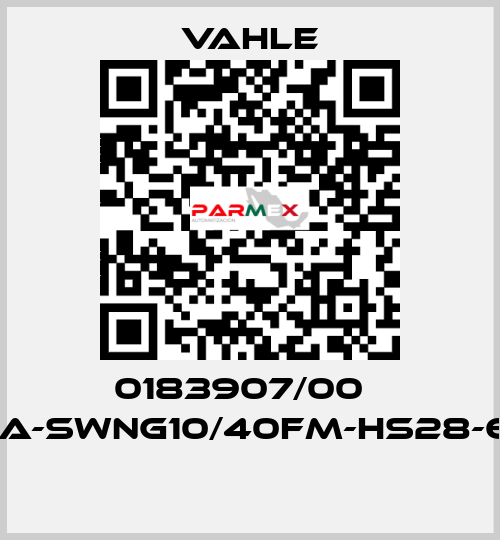 0183907/00    SA-SWNG10/40FM-HS28-60  Vahle