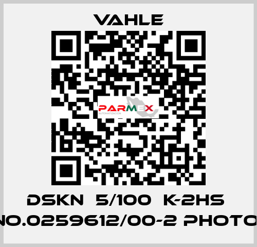 DSKN  5/100  K-2HS  NO.0259612/00-2 photo  Vahle