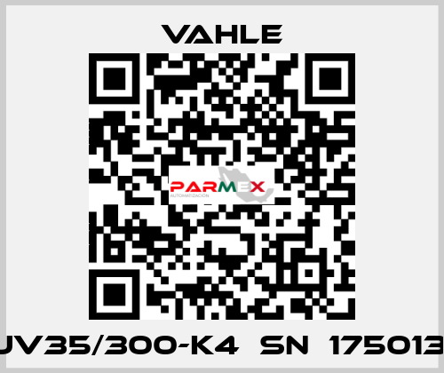 UV35/300-K4  SN  175013  Vahle