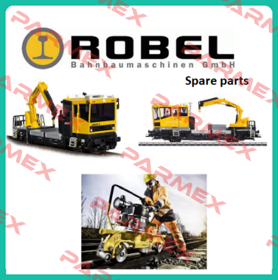 9801040005  Robel