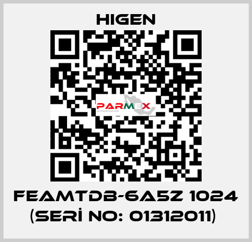 FEAMTDB-6A5Z 1024 (SERİ NO: 01312011)  Higen