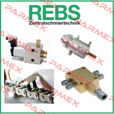 3003018   Rebs Zentralschmiertechnik