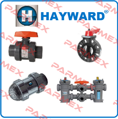 SP1806XE8  HAYWARD