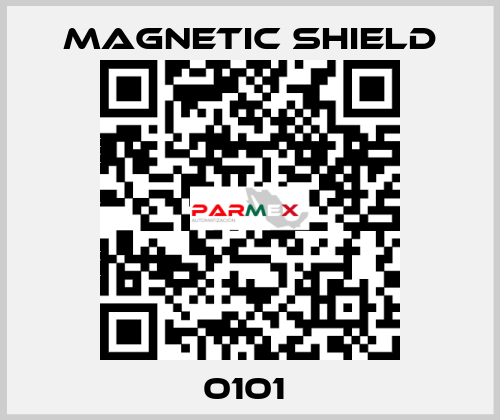 0101  Magnetic Shield