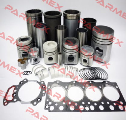 Oils Seal For QVRF2 N.ORI009098 pos. 6502 + O-ring for QVRF2 N: ORI009098 pos 7602  Hansen