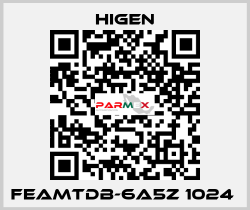 FEAMTDB-6A5Z 1024  Higen