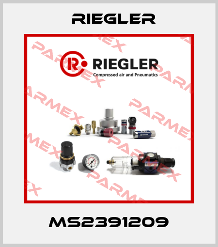 MS2391209 Riegler