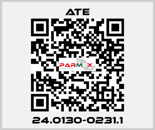 24.0130-0231.1 Ate