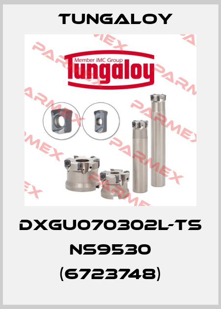 DXGU070302L-TS NS9530 (6723748) Tungaloy