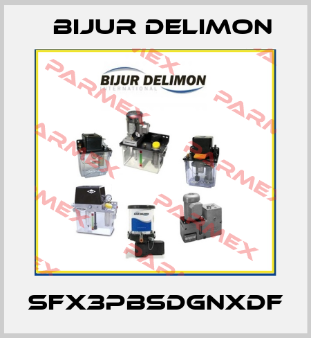 SFX3PBSDGNXDF Bijur Delimon