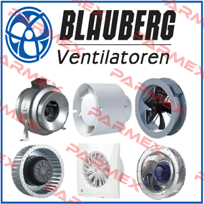 VSR 100 / 8036842 Blauberg