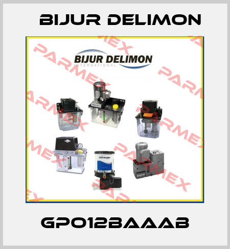 GPO12BAAAB Bijur Delimon