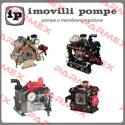 609.013 Imovilli pompe