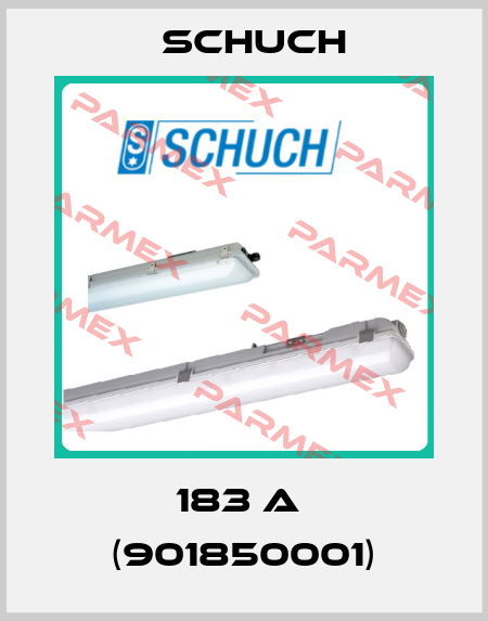 183 A  (901850001) Schuch