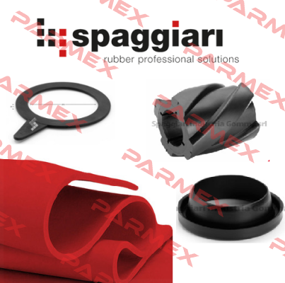 1100/0125s Spaggiari