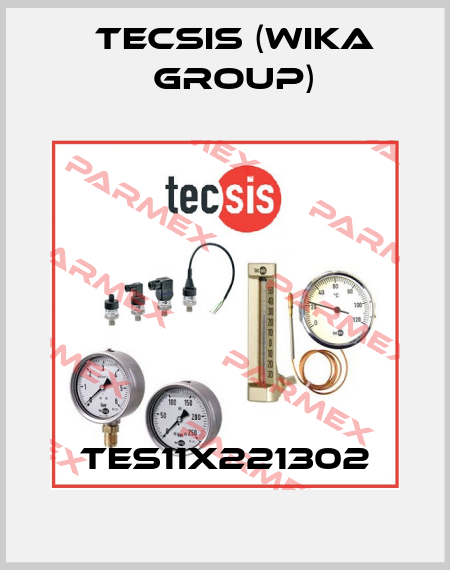 TES11X221302 Tecsis (WIKA Group)