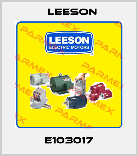 E103017 Leeson