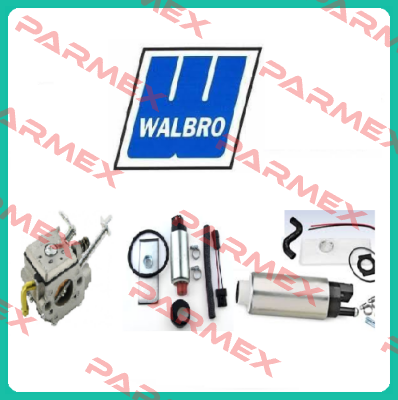 F20000303 Walbro