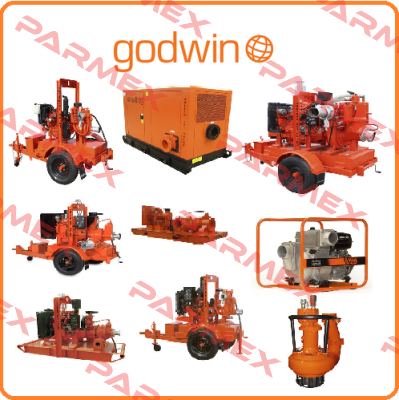 "6"" X 50"" Godwin Pumps