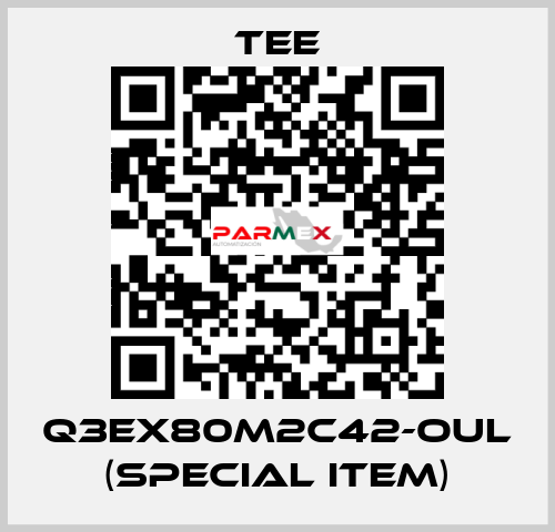 Q3EX80M2C42-OUL (special item) TEE