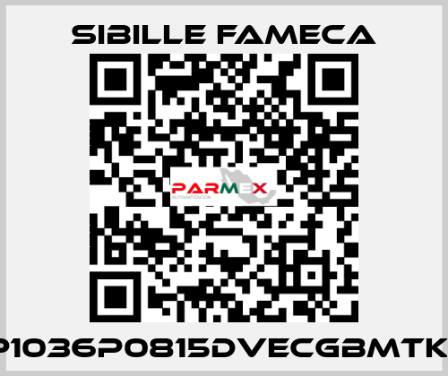 VDP1036P0815DVECGBMTKRI1T Sibille Fameca