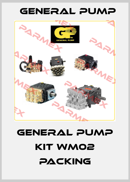 GENERAL PUMP KIT WM02 PACKING General Pump