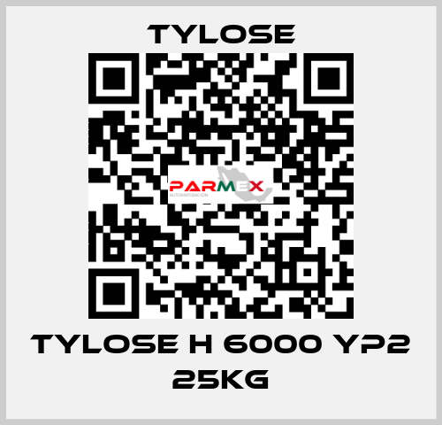 TYLOSE H 6000 YP2 25KG Tylose