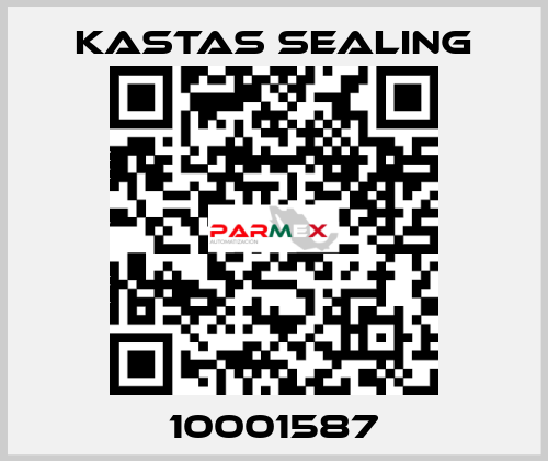 10001587 Kastas Sealing