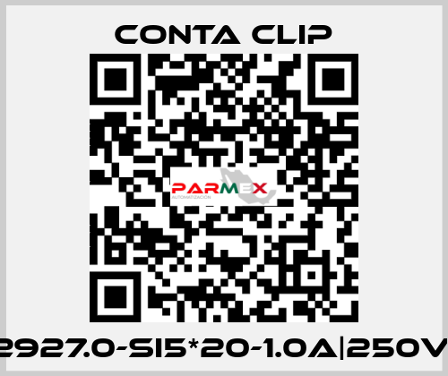 2927.0-SI5*20-1.0A|250V| Conta Clip