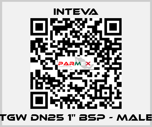 TGW DN25 1" BSP - male Inteva