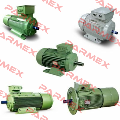 AC MOTOR 1HM-1 280 S4 Fimet