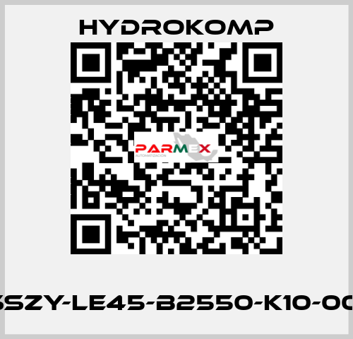       SSZY-LE45-B2550-K10-001 HYDROKOMP