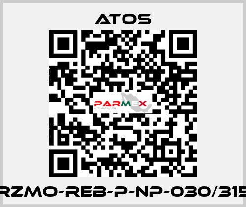 RZMO-REB-P-NP-030/315 Atos