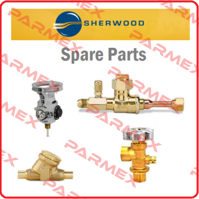 17000 MINOR KIT(25124-SHW) Sherwood