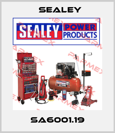 SA6001.19 Sealey
