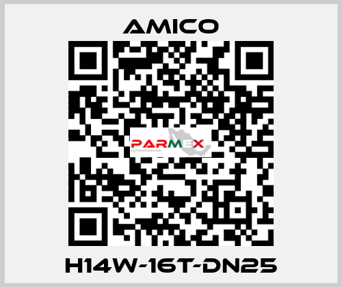 H14W-16T-DN25 AMICO