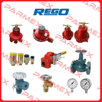 RG-PRV9434T500 Rego