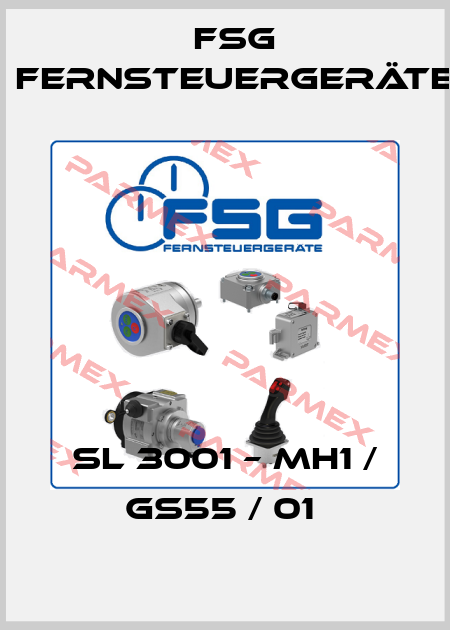 SL 3001 – MH1 / GS55 / 01  FSG Fernsteuergeräte