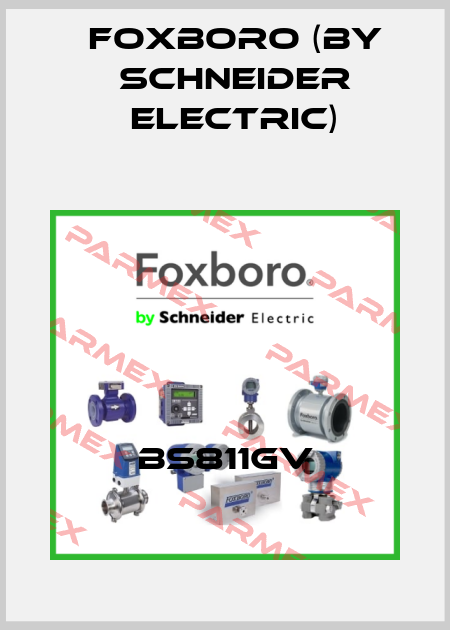 BS811GV Foxboro (by Schneider Electric)