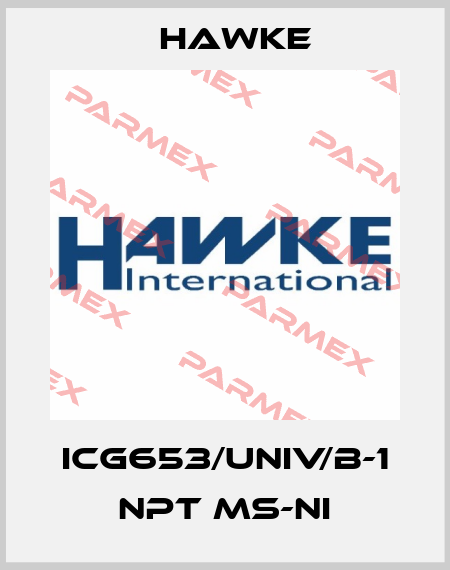 ICG653/UNIV/B-1 NPT Ms-Ni Hawke