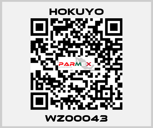 WZ00043 Hokuyo