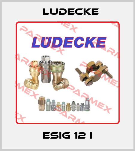 ESIG 12 I Ludecke