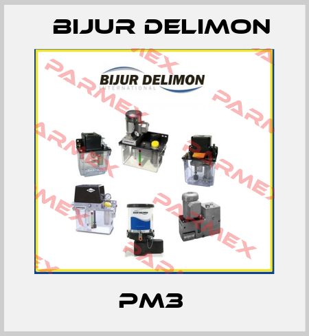 PM3  Bijur Delimon