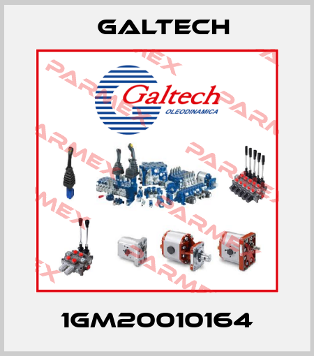 1GM20010164 Galtech