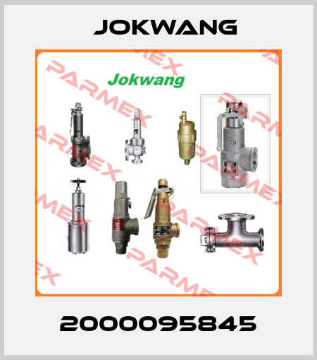2000095845 Jokwang