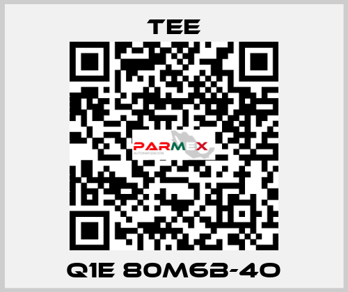 Q1E 80M6B-4O TEE