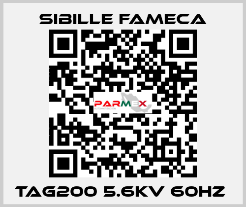 TAG200 5.6KV 60HZ  Sibille Fameca