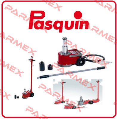 P302EX / P3318 Pasquin